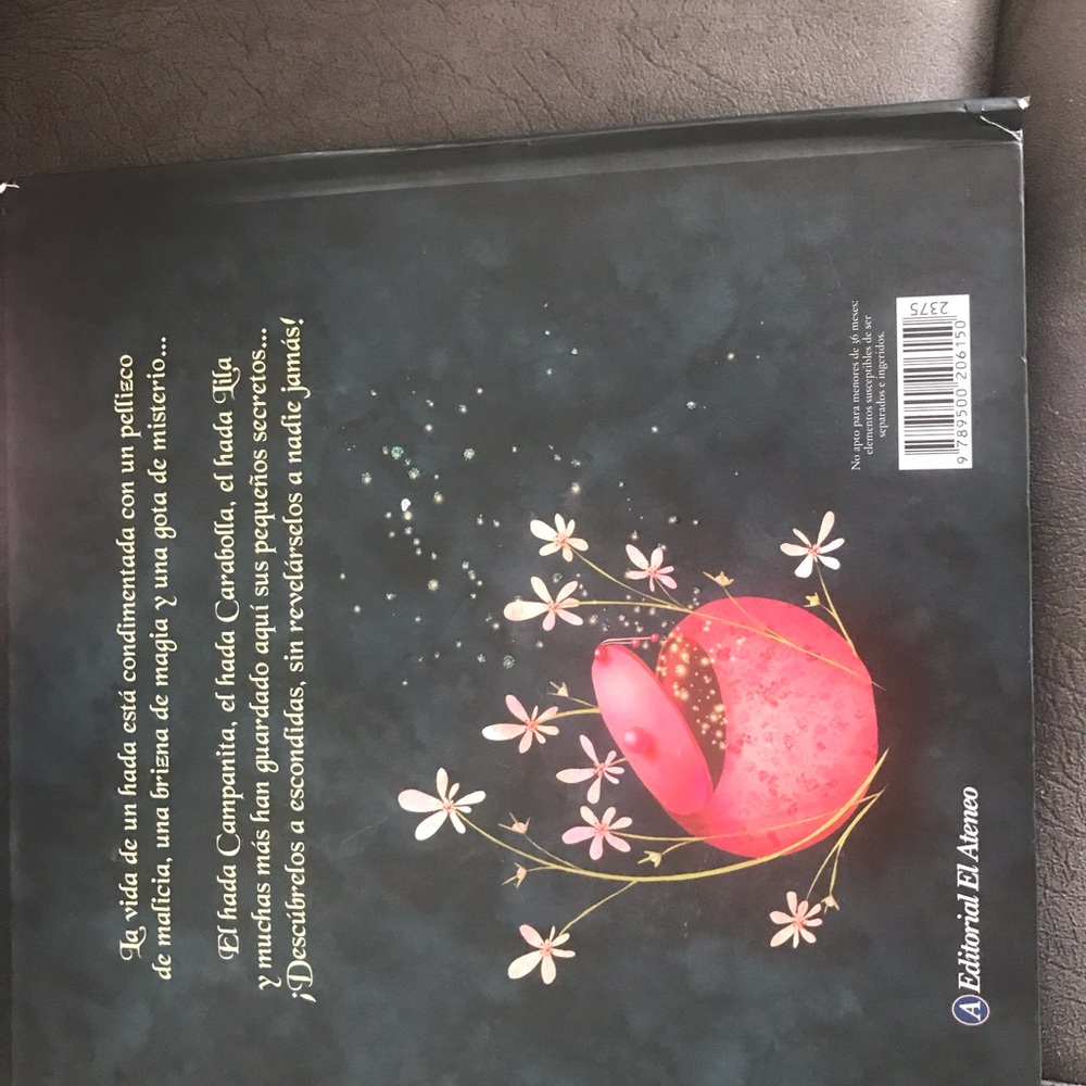 Children Book. Spanish La vida secreta de las Hadas. The secret life of fairies - Picture 4 of 10